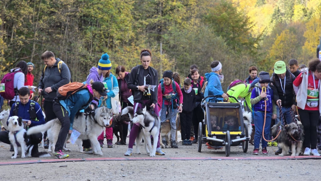 Złoty Stok: Sportowcy i ich psy na trasach finału Pucharu Polski w Dogtrekkingu -  fot. Jarosław Wrona