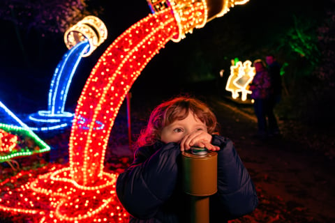 Lumina Park na Zamku Topacz. Tegoroczne iluminacje zabiorą nas do świata "Akademii Pana Kleksa" - 2