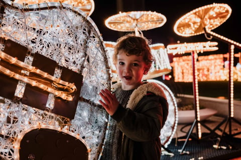 Lumina Park na Zamku Topacz. Tegoroczne iluminacje zabiorą nas do świata "Akademii Pana Kleksa" - 3