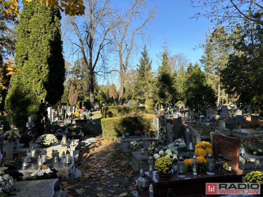 Wzmożone zarobki w czasie Wszystkich Świętych. Usługi cmentarne w cenie - fot. Mateusz Florczyk