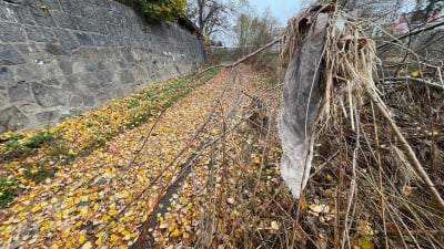 Jelenia Góra: Odbudowa promenady Bobru nie szybciej niż w 2025 roku - 2