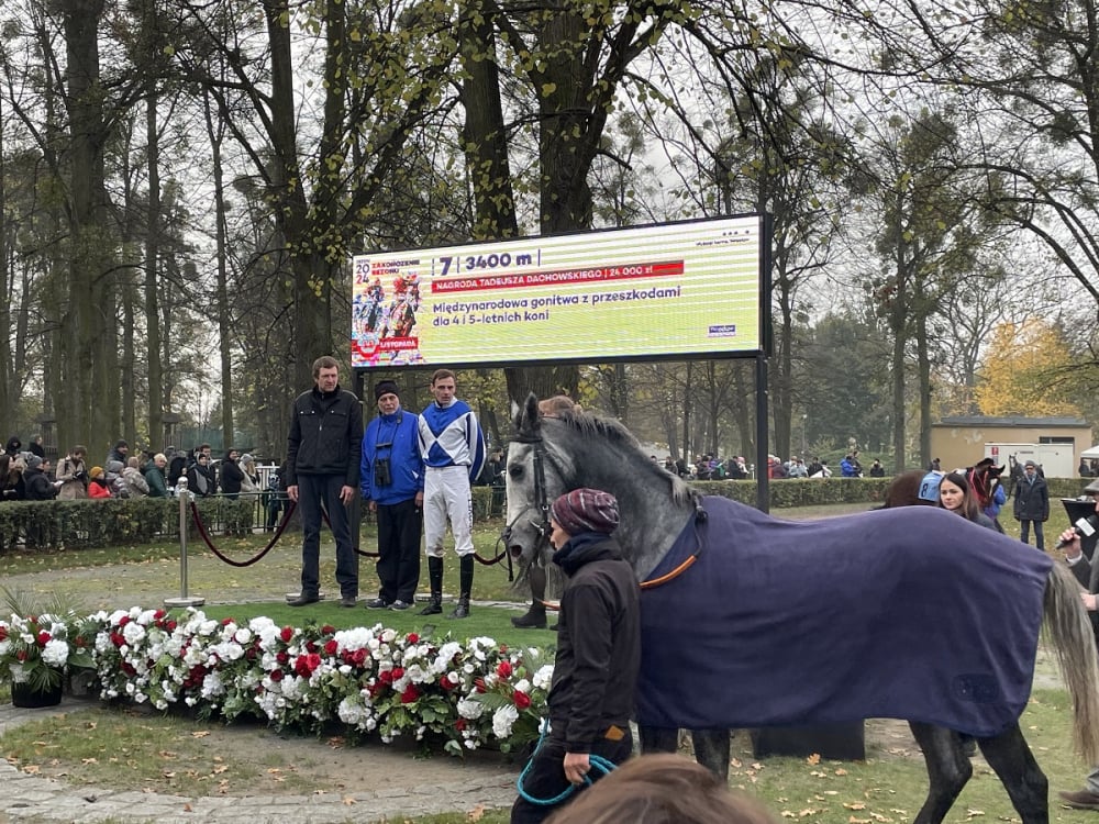 Tor Wyścigów Konnych na Partynicach zakończył sezon. Tłumy wrocławian na gonitwach - Zakończenie sezonu na Partynicach, fot. Dawid Dettlaff