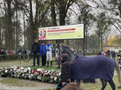 Tor Wyścigów Konnych na Partynicach zakończył sezon. Tłumy wrocławian na gonitwach