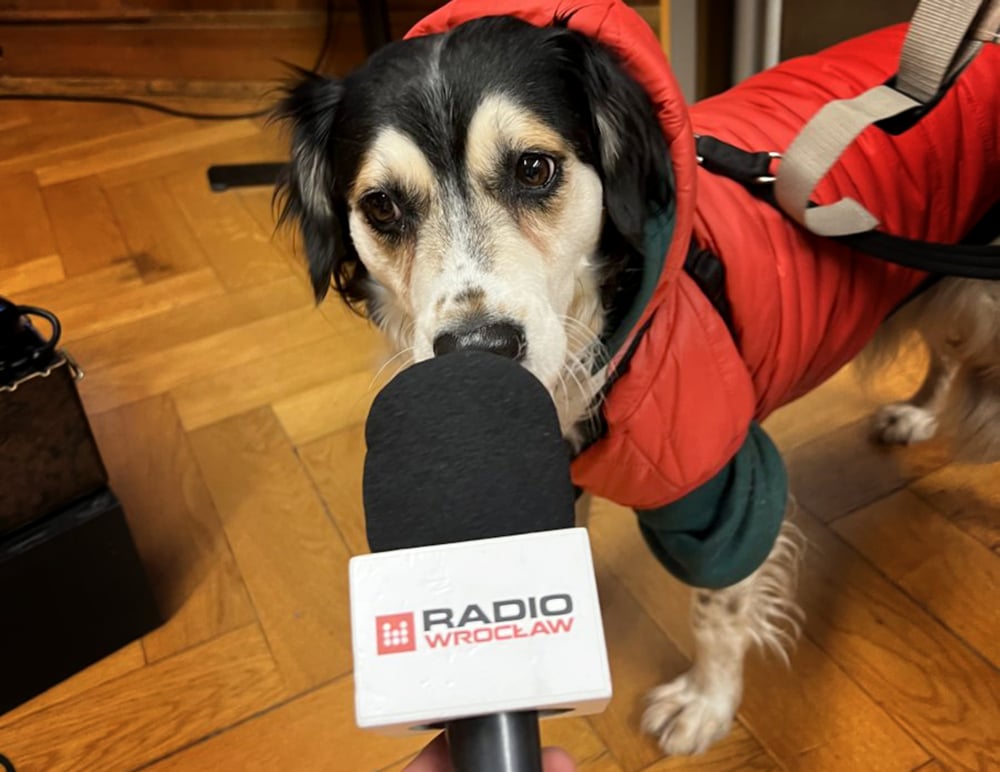 Radio na czterech łapach! Zwiedzanie Radia Wrocław z czworonogami 1 grudnia - Zwierzęta dają głos! Fot. Radosław Bugajski