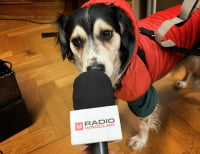 Radio na czterech łapach! Zwiedzanie Radia Wrocław z czworonogami 1 grudnia