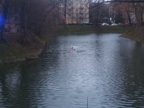 Kurier wjechał do fosy. Niecodzienne zdarzenie drogowe - 1