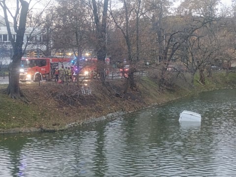 Kurier wjechał do fosy. Niecodzienne zdarzenie drogowe - 2