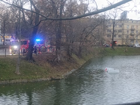 Kurier wjechał do fosy. Niecodzienne zdarzenie drogowe - 3