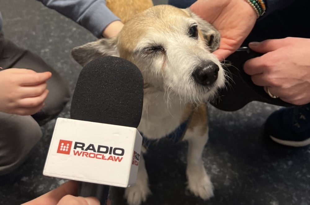 Radio na czterech łapach. W niedzielę nasza redakcja jest otwarta dla zwiedzających - Radio na czterech łapach już w tę niedzielę, fot. RW