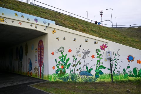 Zamiast zwykłego tunelu - barwny mural. Nowe dzieło we Wrocławiu - 6