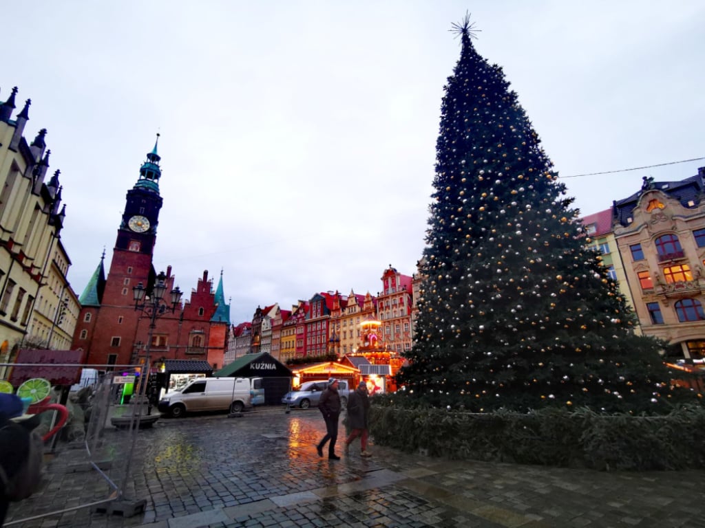 Pijany mężczyzna wspinał się na wrocławską choinkę. Czy zdążą z naprawą przed rozświetleniem? - Świąteczna choinka na wrocławskim Rynku. Fot. Radosław Bugajski