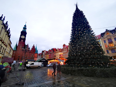 Wandal próbował wspiąć się na świąteczną choinkę na Rynku