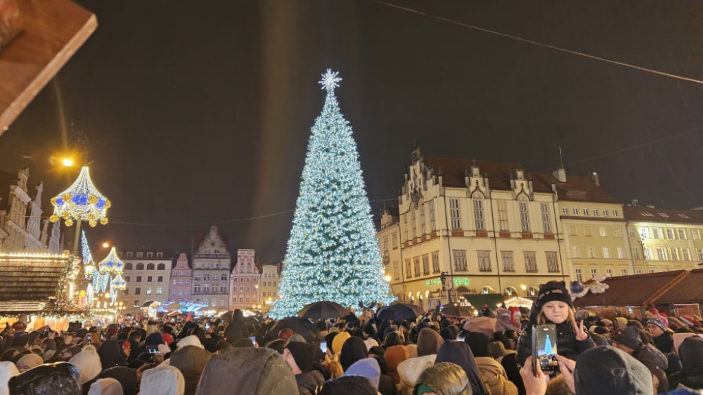 Choinka na wrocławskim Rynku rozświetlona! Zobacz zdjęcia i wideo - Tak prezentuje się rozświetlona choinka na wrocławskim Rynku. Fot. Łukasz Januszewski