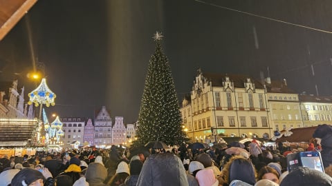 Choinka na wrocławskim Rynku rozświetlona! Zobacz zdjęcia i wideo - 1