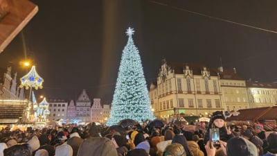 Choinka na wrocławskim Rynku rozświetlona!