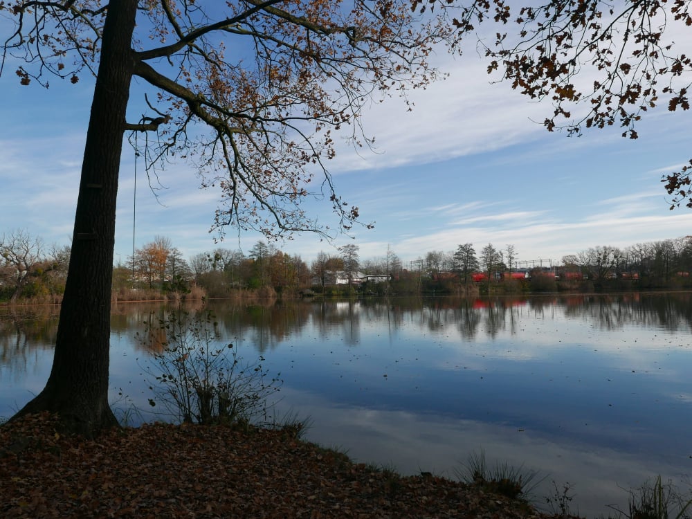 Nowa odsłona Parku Średzkiego we Wrocławiu już w przyszłym roku? Mamy wizualizację projektu - Park Średzki we Wrocławiu doczekał się planów rewitalizacji. Fot: Zarząd Zieleni Miejskiej we Wrocławiu