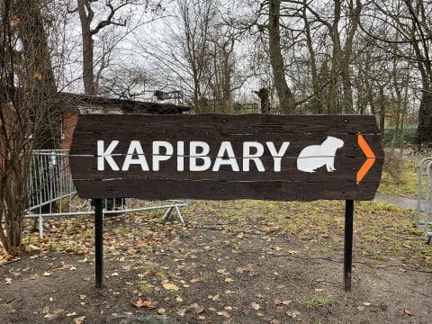 Nowe kapibary we wrocławskim zoo. Dbają o... trzeźwość wśród młodzieży - 2