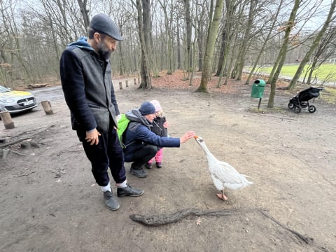 Gęś, kaczka i kundelek. Pan Dariusz podróżuje w nietypowym towarzystwie - 1