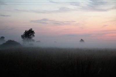 Kierowcy, uważajcie na dolnośląskich drogach! Mogą pojawić się gęste mgły oraz szadź