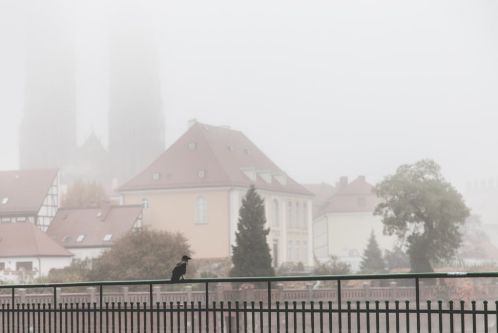 Będzie dużo słońca, ale także smog i mgły. Prognoza pogody na noc i niedzielę - We Wrocławiu i na Dolnym Śląsku możemy spodziewać się gęstych mgieł. Fot. Patrycja Dzwonkowska