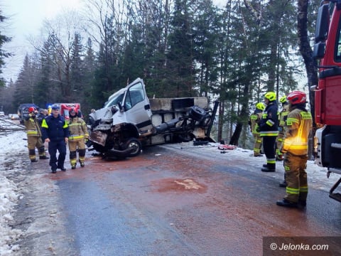 Bus stanął w płomieniach, a drzewo zablokowało drogę! Groźna kolizja pod Szklarską Porębą - 0