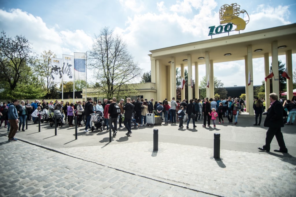 Czy w 2025 roku wzrosły ceny biletów w popularnych wrocławskich atrakcjach? Sprawdzamy - Ceny biletów do wrocławskiego zoo w 2025 roku wzrosły o 10 złotych. Fot. RW