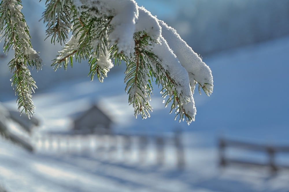 Silny mróz na Dolnym Śląsku! W tych miejscach temperatura spadnie do -15°C - IMGW wydało ostrzeżenie o silnym mrozie dla kilku powiatów Dolnego Śląska. Fot: Pixabay