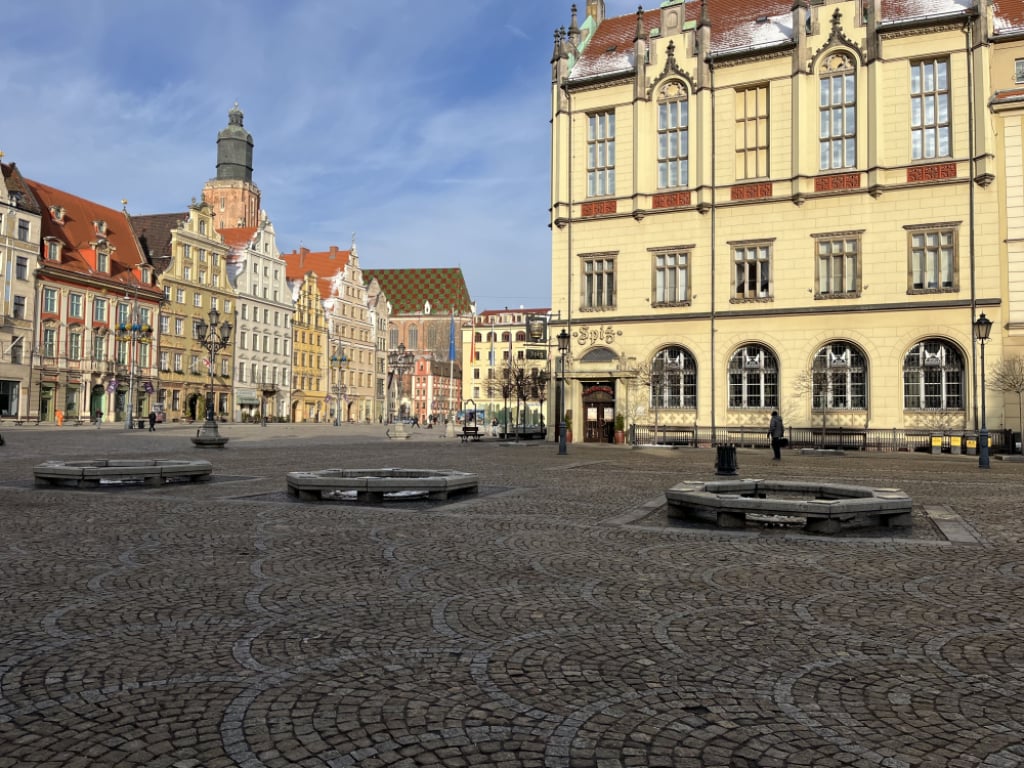 Wrocław: Wycięto trzy drzewa przy pomniku Fredry na Rynku. Dlaczego? - Wycięte drzewa na wrocławskim Rynku. Fot. Beata Makowska