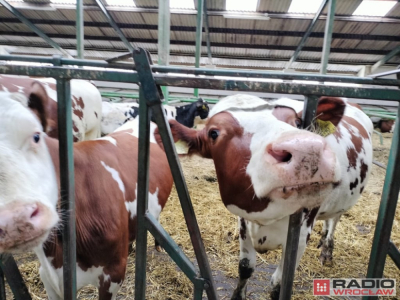 Będą całodobowe punkty kontroli na polsko-niemieckiej granicy