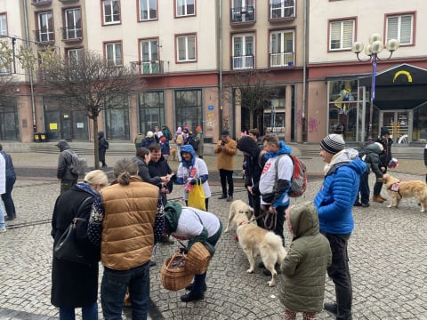 Golden Retrivery również pomagają wspierać WOŚP! Mieszkańcy Wrocławia mogą zrobić sobie z nimi zdjęcia - 1