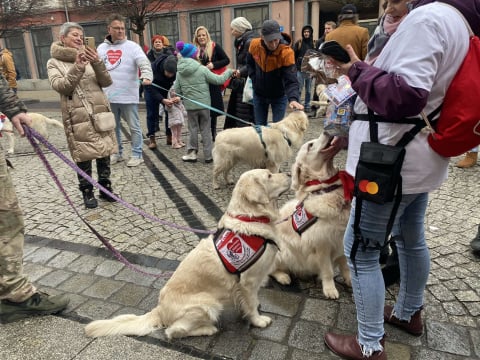 Za nami 33. Finał WOŚP we Wrocławiu. Ile pieniędzy udało się zebrać? - 4