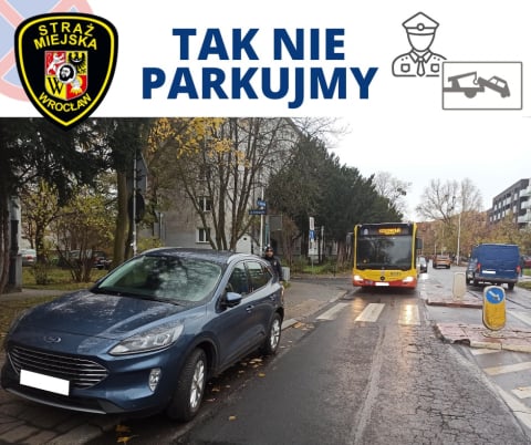 Tak "parkuje" się we Wrocławiu. Straż Miejska w miesiąc wystawiła mandaty na ponad 350 tysięcy złotych - 4