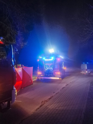 Śmiertelny wypadek na Dolnym Śląsku. Kierowca zjechał z drogi i uderzył w drzewo [ZDJĘCIA] - 0