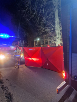 Śmiertelny wypadek na Dolnym Śląsku. Kierowca zjechał z drogi i uderzył w drzewo [ZDJĘCIA] - 3