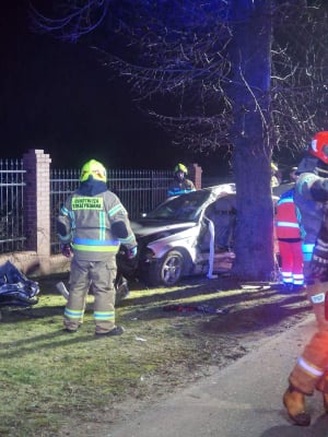 Śmiertelny wypadek na Dolnym Śląsku. Kierowca zjechał z drogi i uderzył w drzewo [ZDJĘCIA] - 4