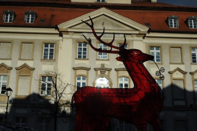 Karta Mieszkańca działa w Jeleniej Górze. Jakie daje korzyści i jak ją założyć?