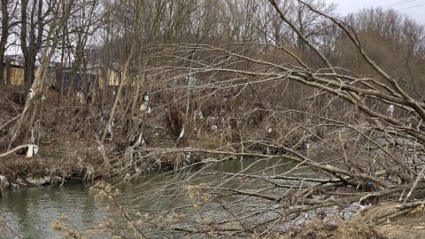 „Operacja czysta rzeka” zainaugurowana w Kłodzku. Po powodzi wciąż leży mnóstwo śmieci - 2