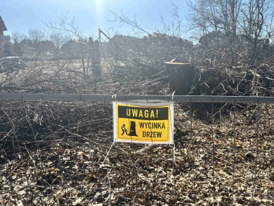 Wycinają drzewa pod budowę Wschodniej Obwodnicy Wrocławia. Co na to mieszkańcy?