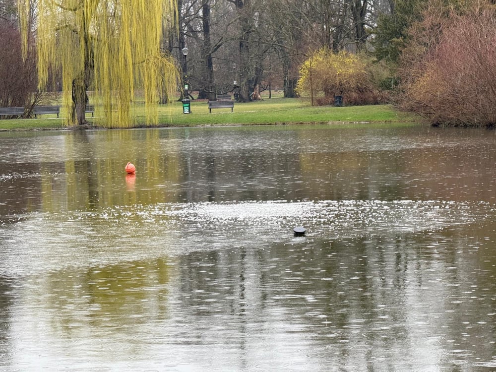 Skąd wzięły się nietypowe bąbelki w stawach we Wrocławiu? Spełniają bardzo ważną rolę - Bąbelki w stawach we Wrocławiu. Skąd się biorą? Fot: Mateusz Florczyk/ Radio Wrocław