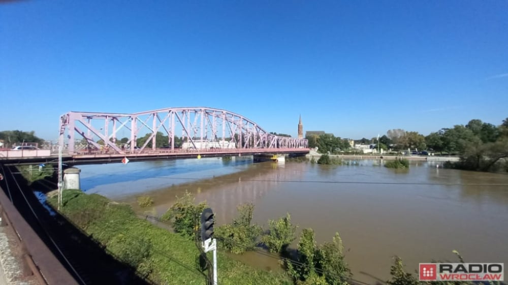 Wielkie sprzątanie Odry! Głogów również bierze udział w akcji "Czysta Odra". Jak można się zaangażować? - Odra w Głogowie. Fot: Radio Wrocław