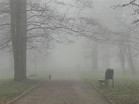 Gęsta mgła nad Dolnym Śląskiem. Kierowcy, zachowajcie ostrożność! - 1