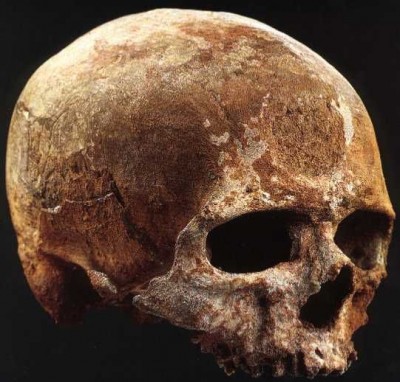 Zbadali zęby neandertalczyków