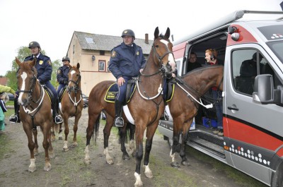 Konie, jeźdźcy i hodowcy w Siedlcu Trzebnickim (Zdjęcia)
