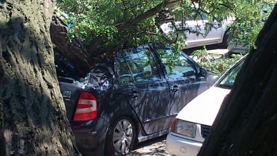 Potężne drzewo uszkodziło kilka aut (ZDJĘCIA)