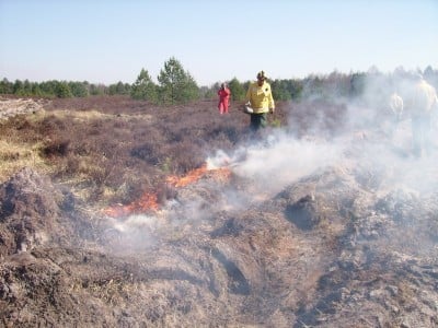 Strażacy podpalili 5,5 hektara wrzosowisk (ZDJĘCIA)