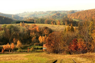 TOP5 miejsc malowanych kolorami jesieni - wygrywa Wąwóz Myśliborski
