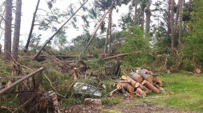 Wdzięczność po latach, dokładnie po 20 latach